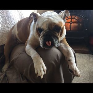 Meet your Posher, Sandy